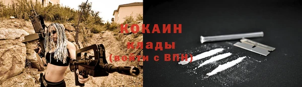 ПСИЛОЦИБИНОВЫЕ ГРИБЫ Заволжье