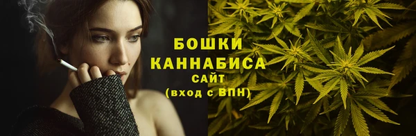 ПСИЛОЦИБИНОВЫЕ ГРИБЫ Заволжье