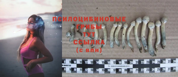2c-b Заводоуковск