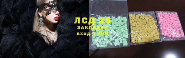 ПСИЛОЦИБИНОВЫЕ ГРИБЫ Заволжье