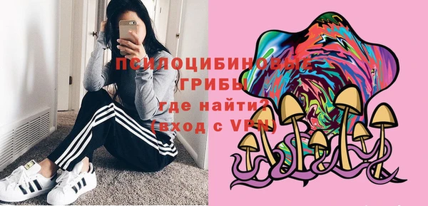 ПСИЛОЦИБИНОВЫЕ ГРИБЫ Заволжье