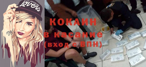 ПСИЛОЦИБИНОВЫЕ ГРИБЫ Заволжье