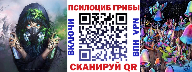 Купить  Советский  Псилоцибиновые грибы Magic Shrooms 